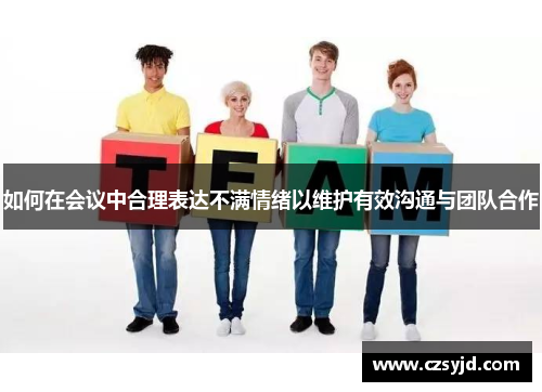 如何在会议中合理表达不满情绪以维护有效沟通与团队合作