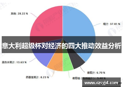 意大利超级杯对经济的四大推动效益分析
