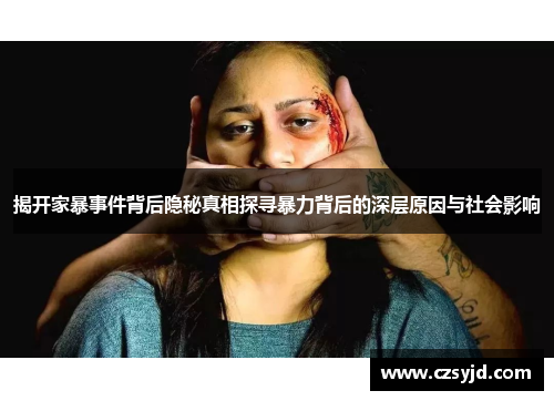 揭开家暴事件背后隐秘真相探寻暴力背后的深层原因与社会影响