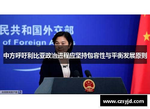 中方呼吁利比亚政治进程应坚持包容性与平衡发展原则
