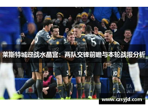 莱斯特城迎战水晶宫：两队交锋前瞻与本轮战报分析